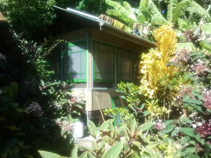 Banana Patch Cottage exterior