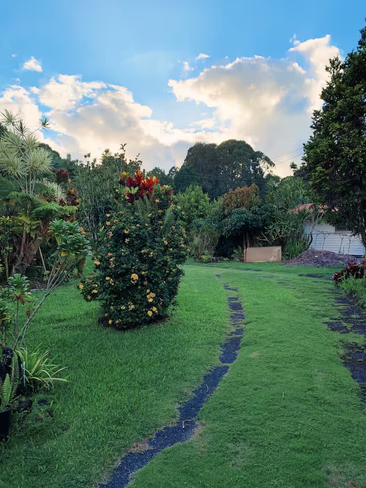 Outdoor path with garden views